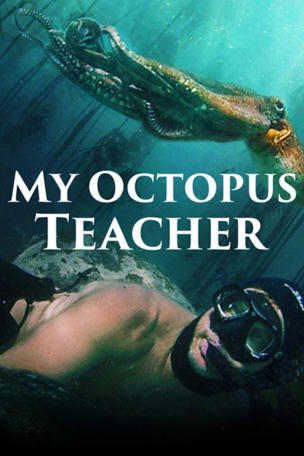 My Octopus Teacher
