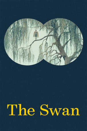Swan