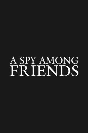 Spy Among Friends
